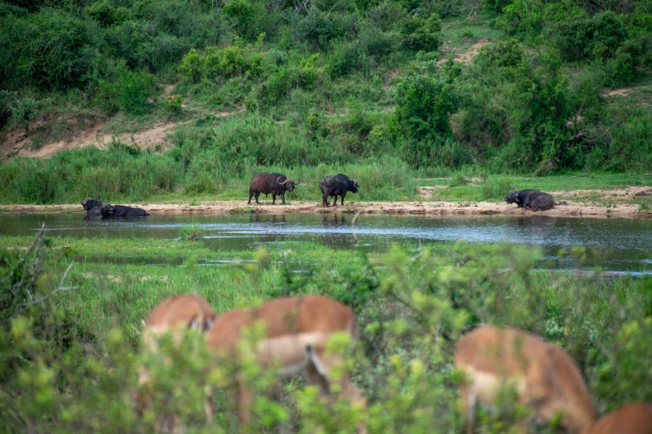 Casa de Férias Adventure Bush House Ii Marloth Park