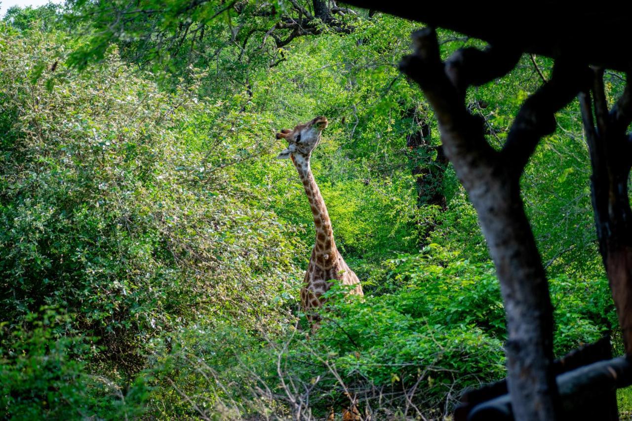 Adventure Bush House Ii * Marloth Park