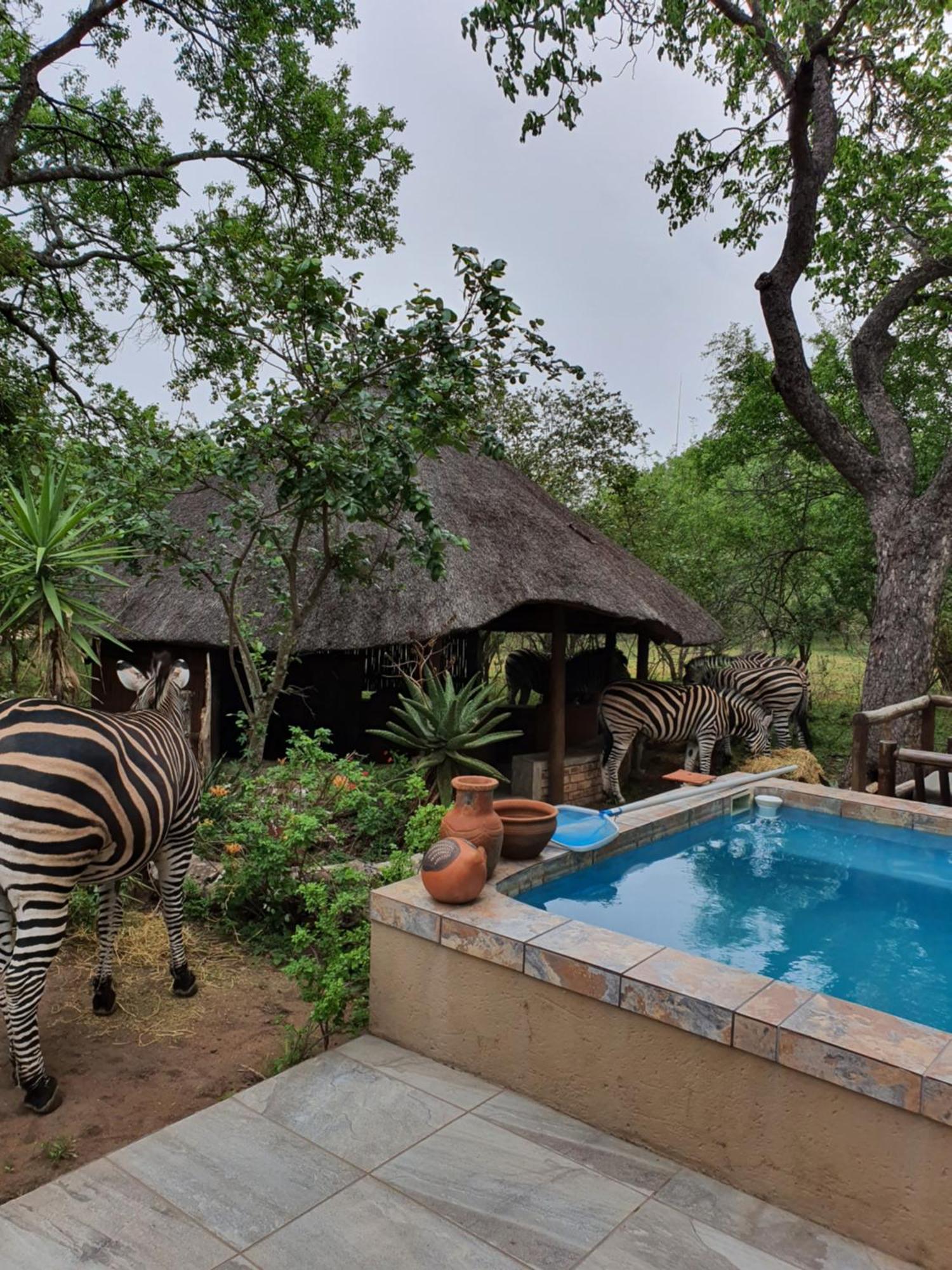 Adventure Bush House Ii Casa de Férias Marloth Park